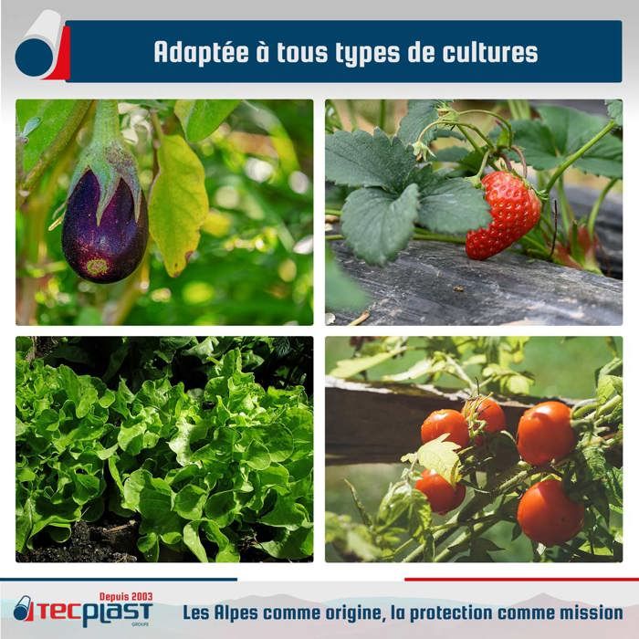 TECPLAST Bâche Serre 1,5x11 m 150SE - Film plastique transparent pour serre de jardin - Haute Qualité - Made in France