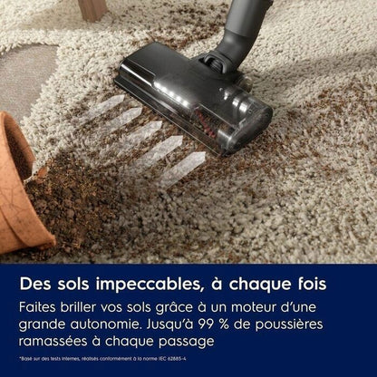 Aspirateur balai sans fil Electrolux 600 Electrolux EP61CB21WG Beige