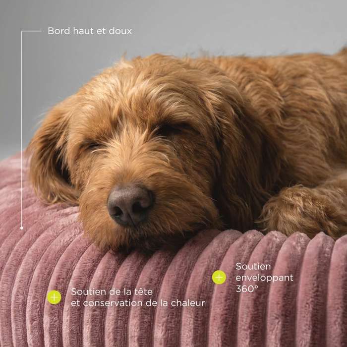 Grand lit pour chien PELUVIO Koya - Moelleux - Avec coussin - 75 x 75 cm - Rose