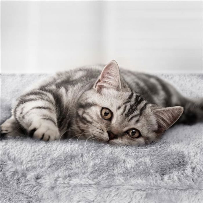 Yaheetech Arbre à Chat en Sisal Griffoir Grattoir Tour de Jeux pour Chat avec Centre d'activités Arbre a Chat Hauteur 107cm Rose