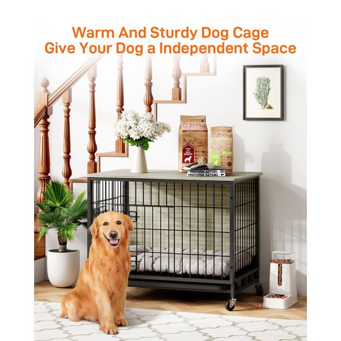 Cage pour Chien 42 “, Double Porte de Sécurité, Séparateur Amovible, Plateau Inclus, Cage Pliable, Voyage avec Chien, Noir