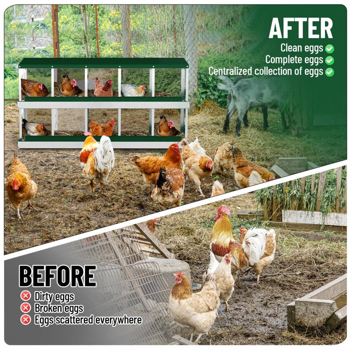 Pondoir Poules Pondeuses 10 Compartiments, Poulailler en Acier Galvanisé, Récolte des Œufs Facilitée,  Pratique, Pied, Vert