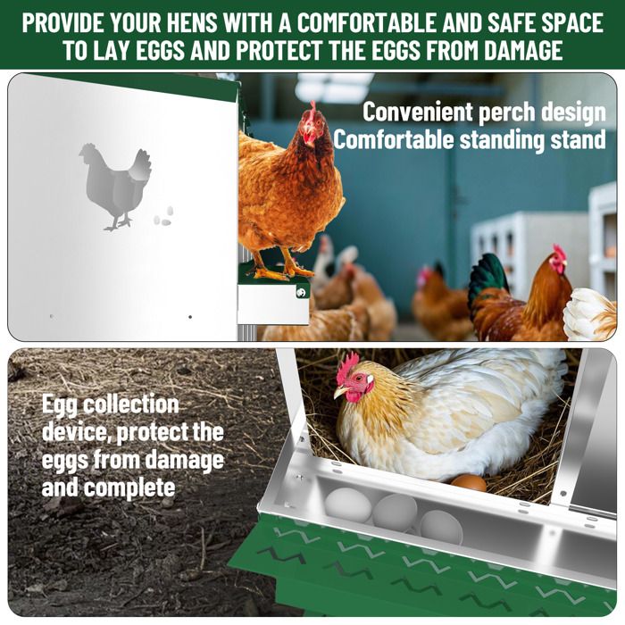 Pondoir Poules Pondeuses 10 Compartiments, Poulailler en Acier Galvanisé, Récolte des Œufs Facilitée,  Pratique, Pied, Vert