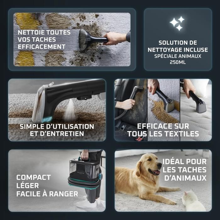 Rowenta Clean It Compact, Shampouineuse, Détacheur, Nettoyeur portable, Rapide et facile, Design compact, IN3010F0