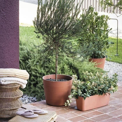 DEROMA Pot de fleurs Origin - 57,5 x 48 cm -  85 L - A roulettes - Terre cuite