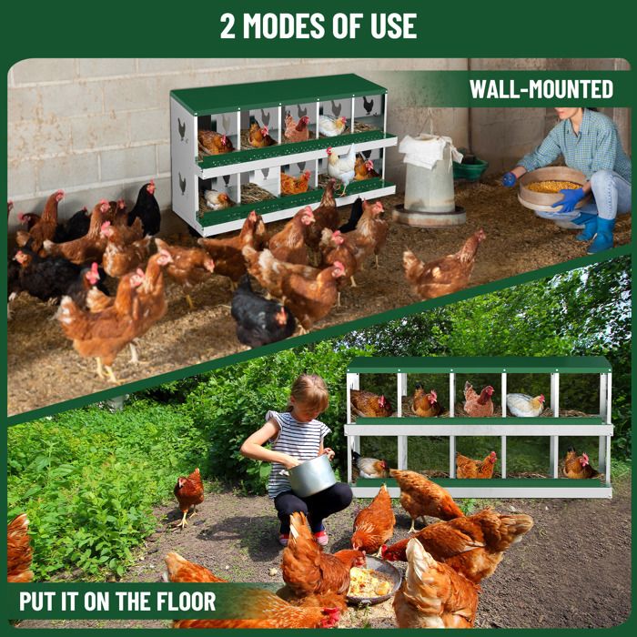 Pondoir Poules Pondeuses 10 Compartiments, Poulailler en Acier Galvanisé, Récolte des Œufs Facilitée,  Pratique, Pied, Vert