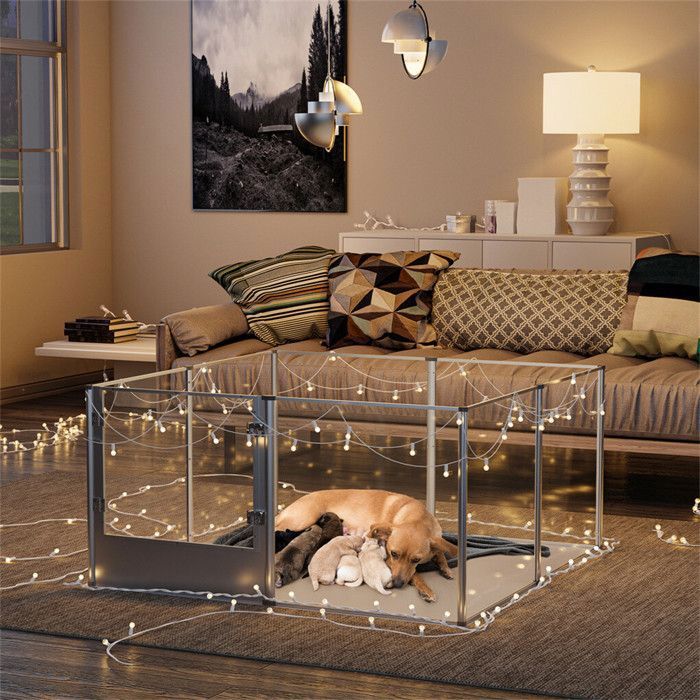 Parc pour Petits Animaux Enclos Lapin Intérieur Rongeur Chiot Cochon d'Inde - 6 Panneaux - 124x63x40cm