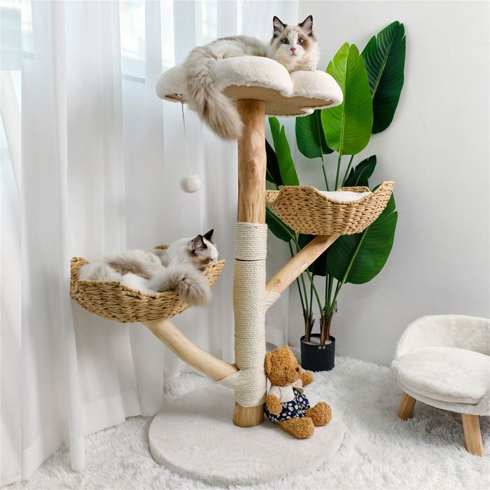 Arbre à Chat Hauteur 99 cm - BingoPaw - Centre d'activités pour Chats avec Griffoir en Sisal - 2 Plateformes avec 1 Niche