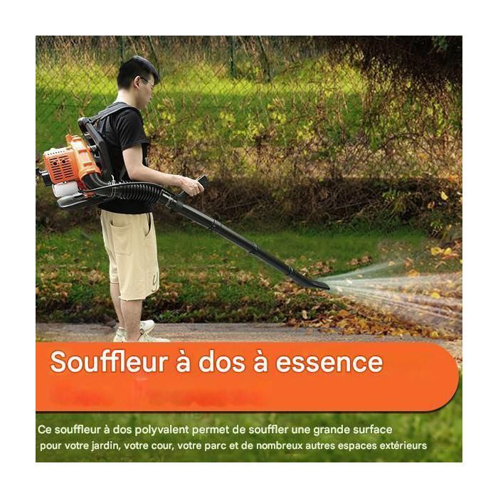 EB430 Souffleur à dos 1250W - longue buse - conception ergonomique - 1250W - 6800r/min - 180 x 45 x 45cm - ORANGE