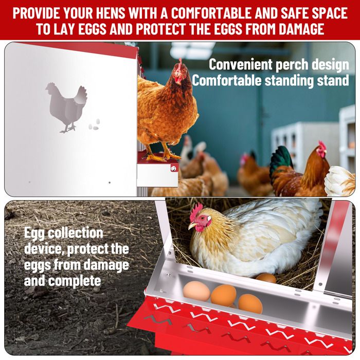 Pondoir Poules Pondeuses 10 Compartiments, Poulailler en Acier Galvanisé, Récolte des Œufs Facilitée,  Pratique, Pied, Vert