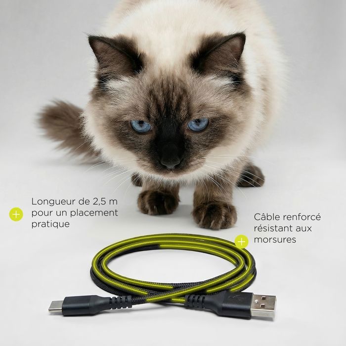 Distributeur de croquettes Automatique Chat PELUVIO Crispy - WiFi - 4,5 L - 4 Repas/jour - Enregistrement Vocal - Noir