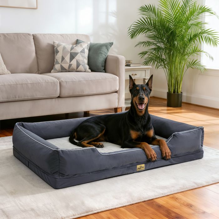 Panier Chien Orthopédique - BingoPaw - Coussin Déhoussable pour Chiens, Mémoire de Forme, Anti-dérapant - Gris 127x94x24cm
