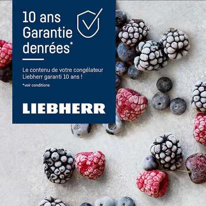Congélateur top LIEBHERR FNdi1624
