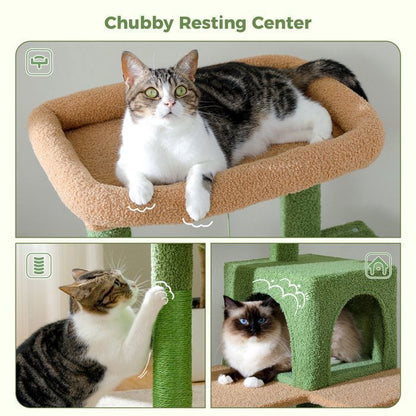 PAWZ Road Arbre à chat Design Spacieux Grande Hamac Dur Stable Avec hamac et belle maison pour chat - Cactus vert - 143 cm